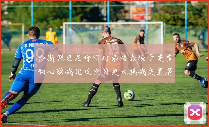 加斯佩里尼呼吁对弗格森给予更多耐心欧战进攻空间更大挑战更显著