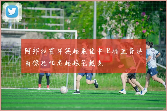 阿邦拉霍评英超最佳中卫特里费迪南德孔帕尼超越范戴克