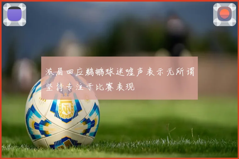 浓眉回应鹈鹕球迷嘘声表示无所谓坚持专注于比赛表现
